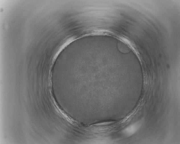 X0000059101235200510172112