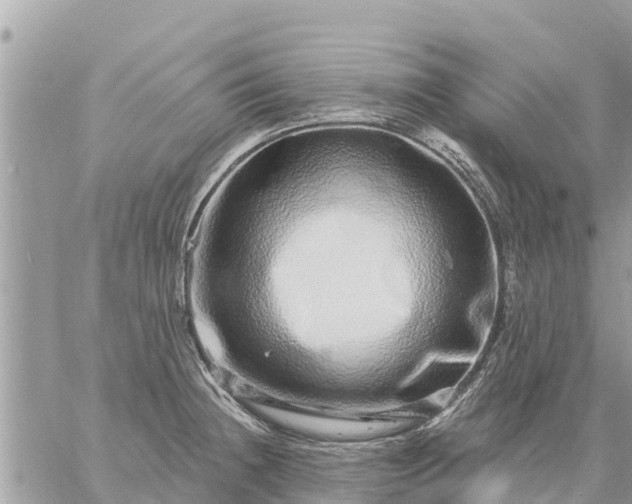 X0000059101236200510172112