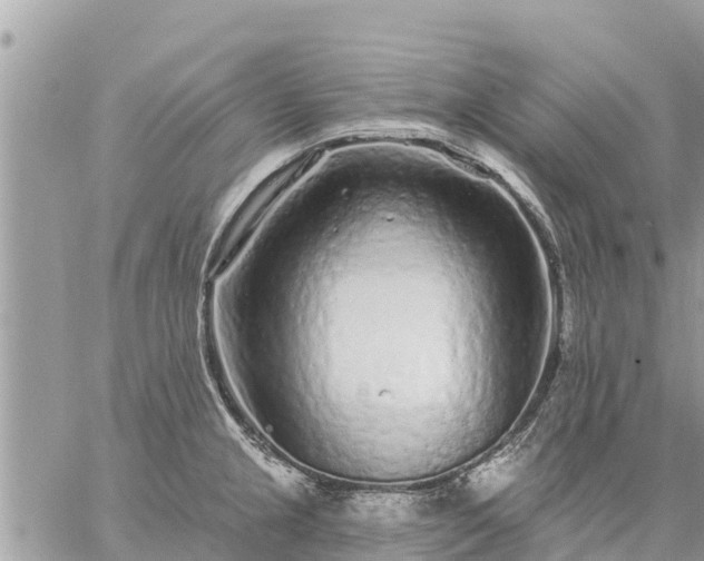 X0000059101237200510172112