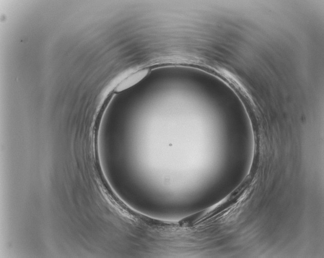 X0000059101238200510172112