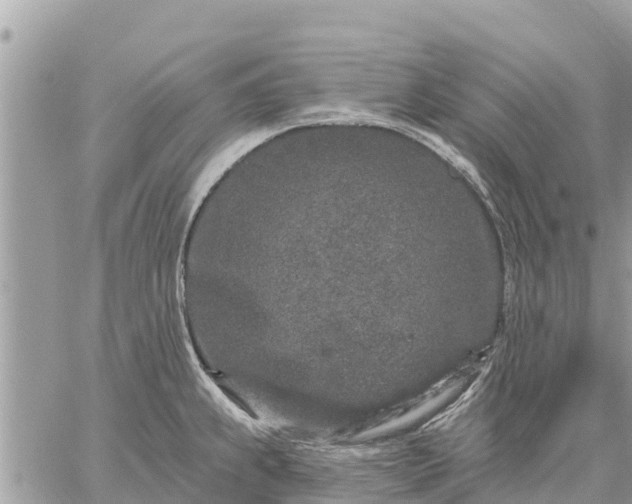 X0000059101239200510172112