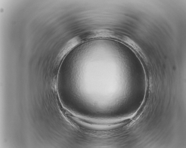 X0000059101241200510172112