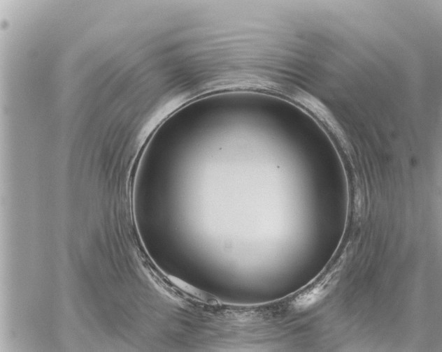 X0000059101242200510172112