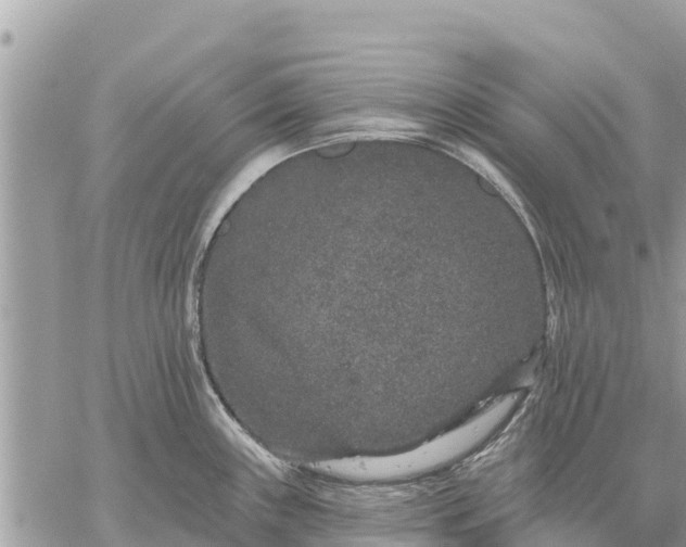 X0000059101243200510172112