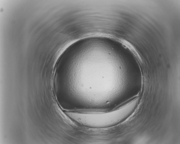 X0000059101244200510172112