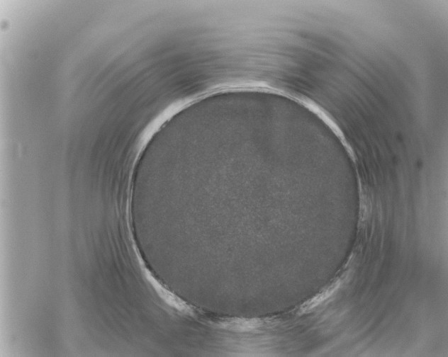 X0000059101245200510172112