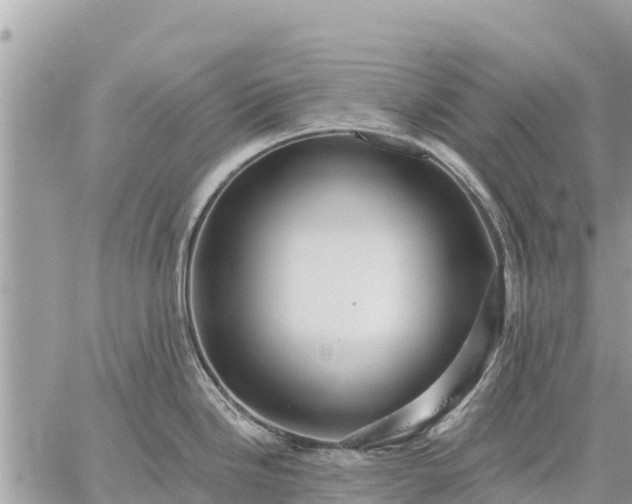 X0000059101246200510172112