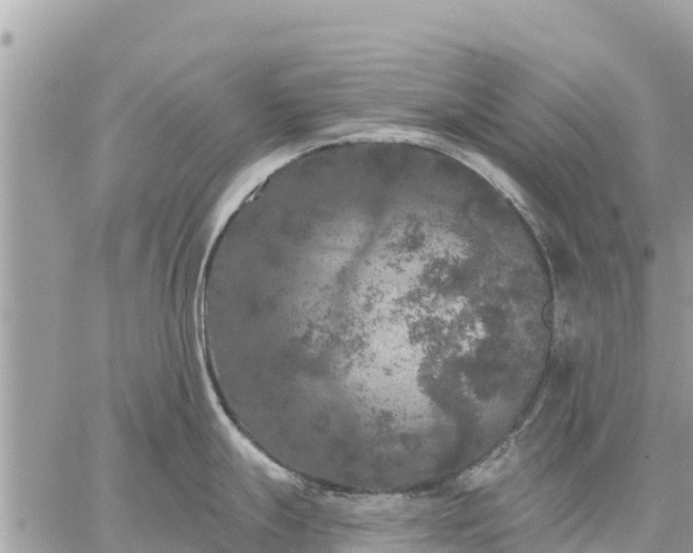 X0000059101247200510172112