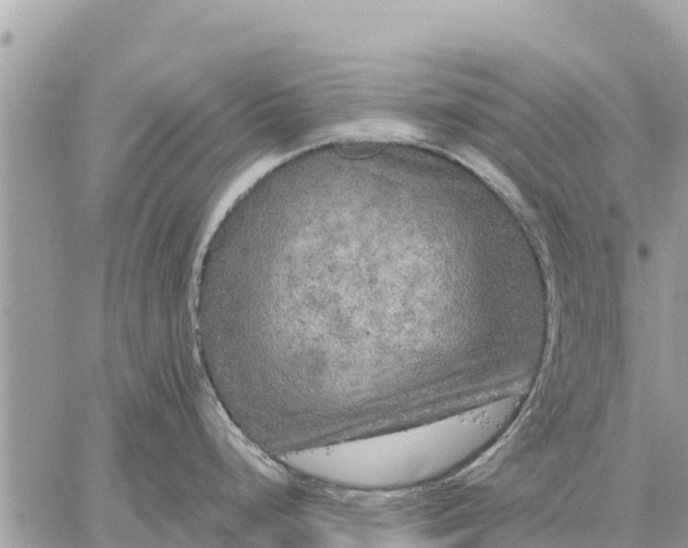 X0000059101248200510172112