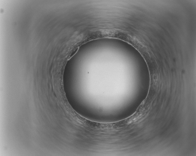 X0000059101249200510172111