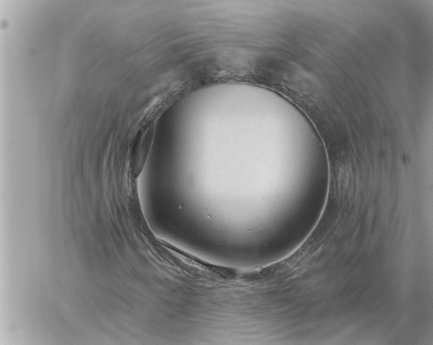 X0000059101250200510172111