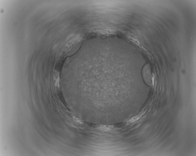 X0000059101251200510172111