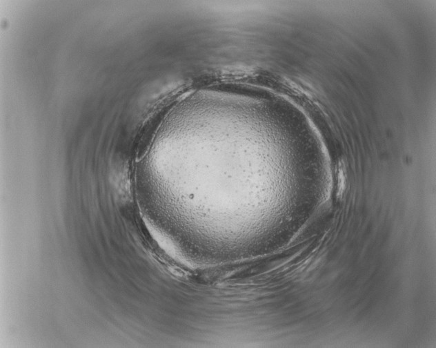 X0000059101252200510172111