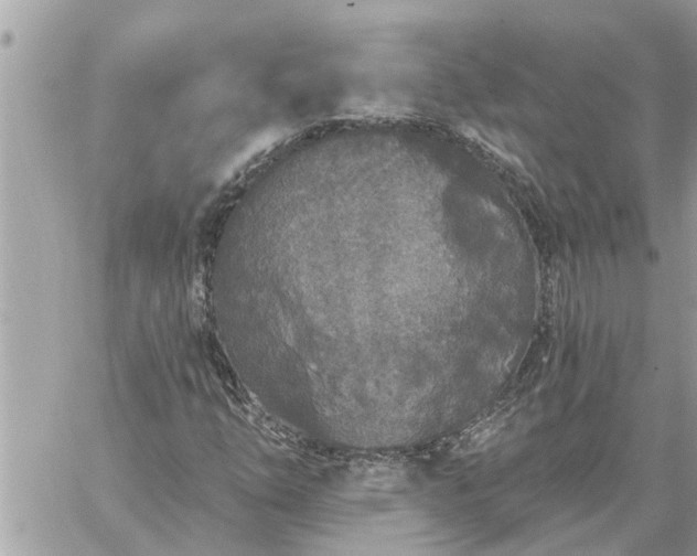 X0000059101254200510172111