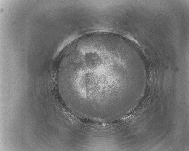 X0000059101255200510172111