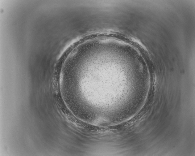 X0000059101256200510172111