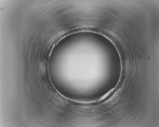 X0000059101257200510172111