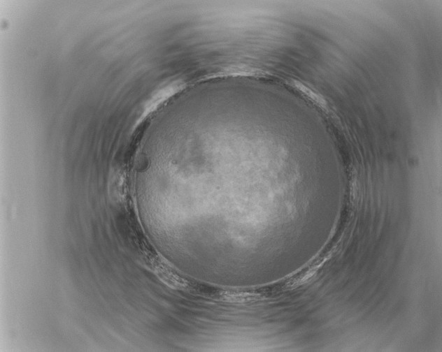 X0000059101258200510172111