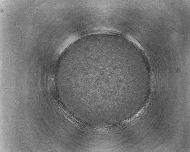 X0000059101259200510172111