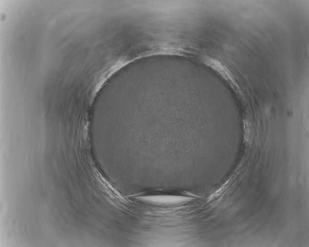 X0000059101260200510172111