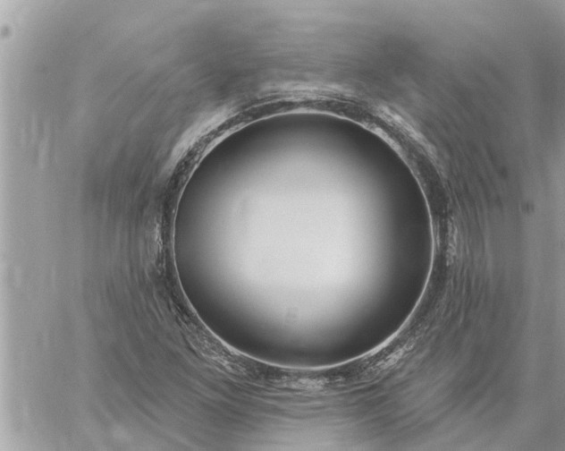 X0000059101261200510172111