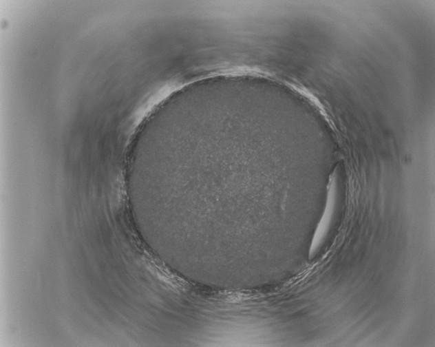 X0000059101263200510172111