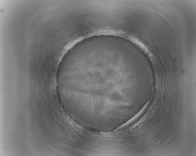 X0000059101264200510172111