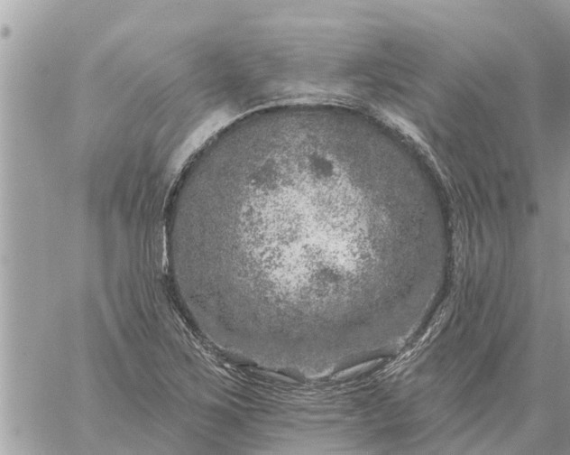 X0000059101267200510172111