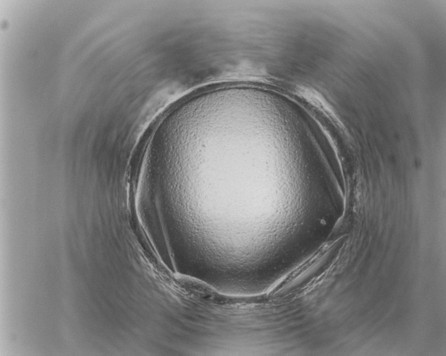 X0000059101268200510172111