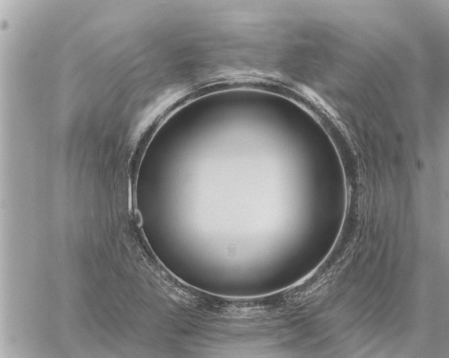 X0000059101269200510172111