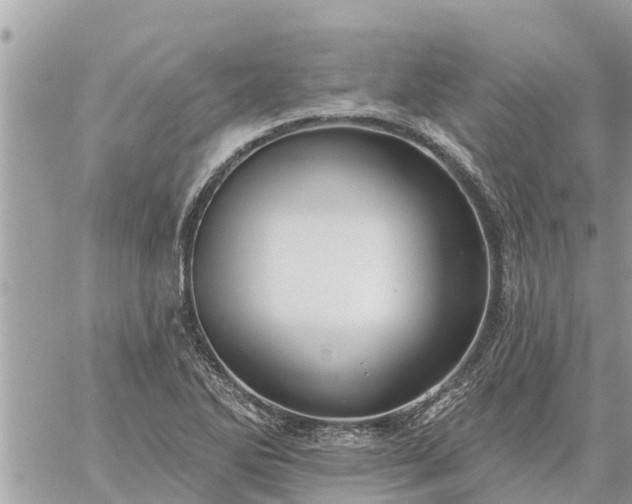 X0000059101270200510172111