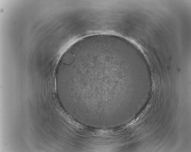 X0000059101271200510172111