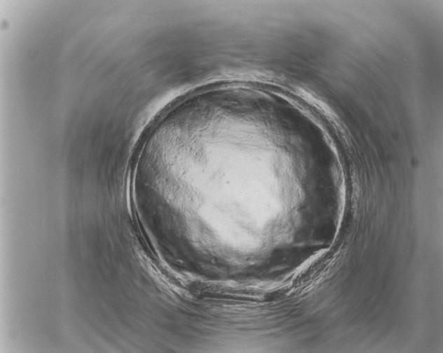 X0000059101272200510172111