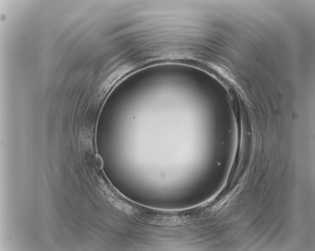 X0000059101273200510172111