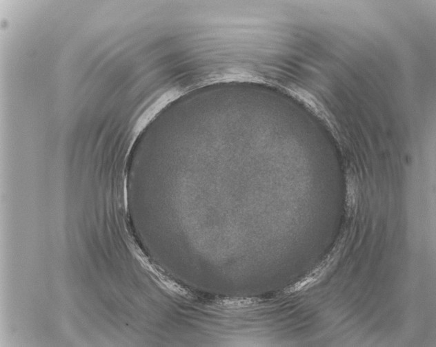 X0000059101274200510172111