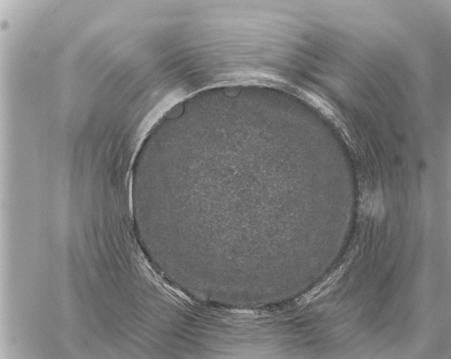 X0000059101275200510172111