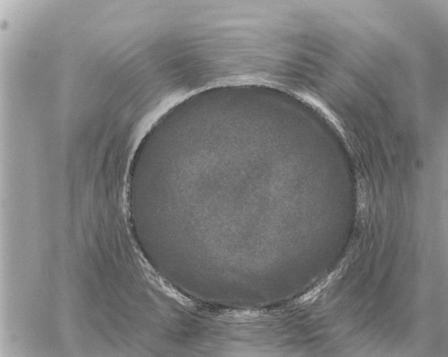 X0000059101278200510172111