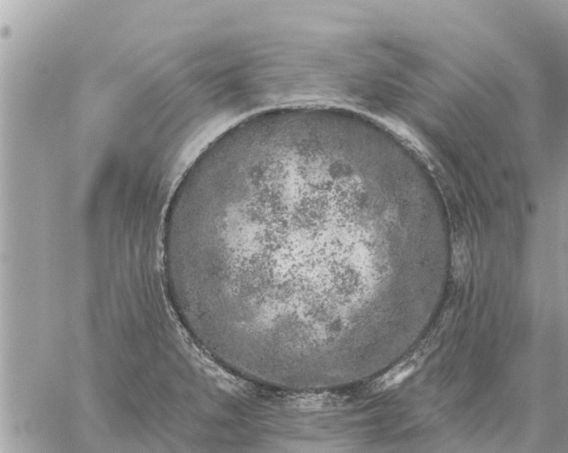 X0000059101279200510172110