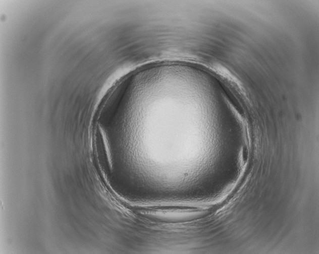 X0000059101280200510172110