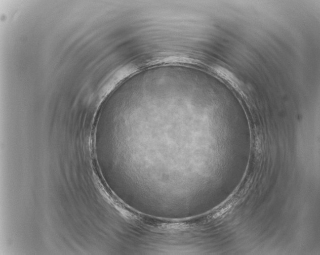 X0000059101282200510172110