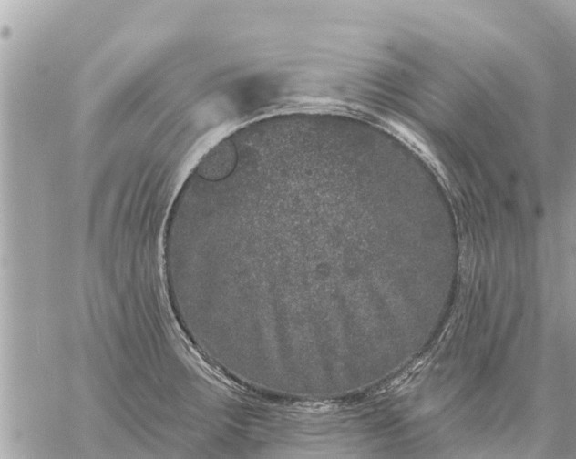 X0000059101283200510172110