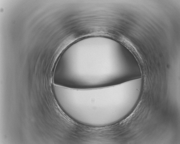 X0000059101284200510172110