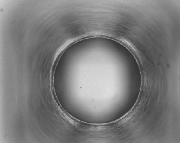 X0000059101286200510172110