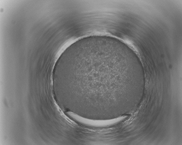 X0000059101287200510172110