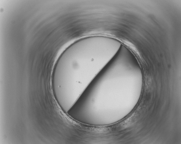 X0000059101288200510172110