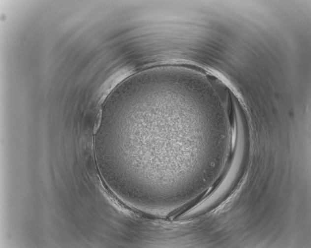 X0000059101289200510172110