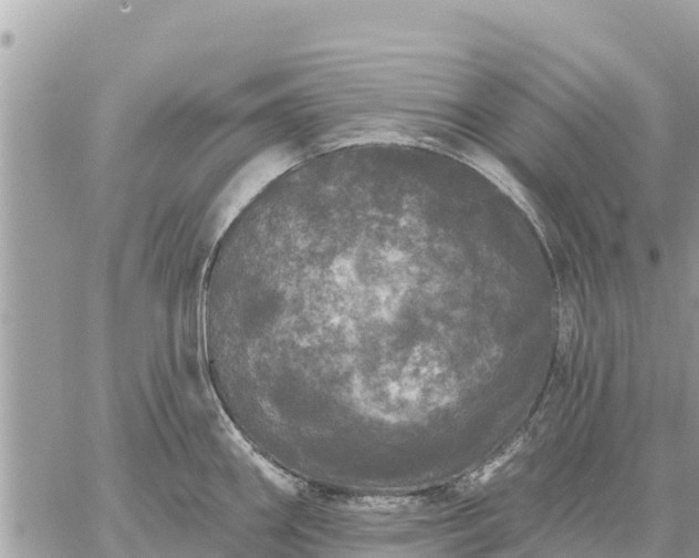 X0000059101290200510172110