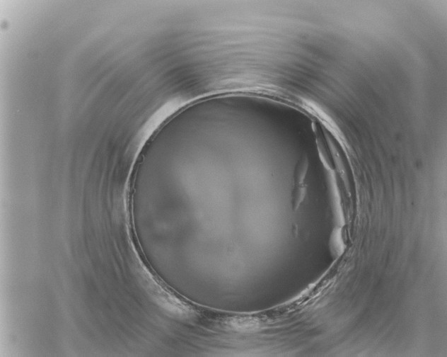 X0000059101291200510172110