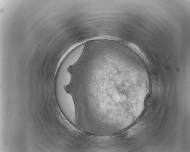 X0000059101292200510172110