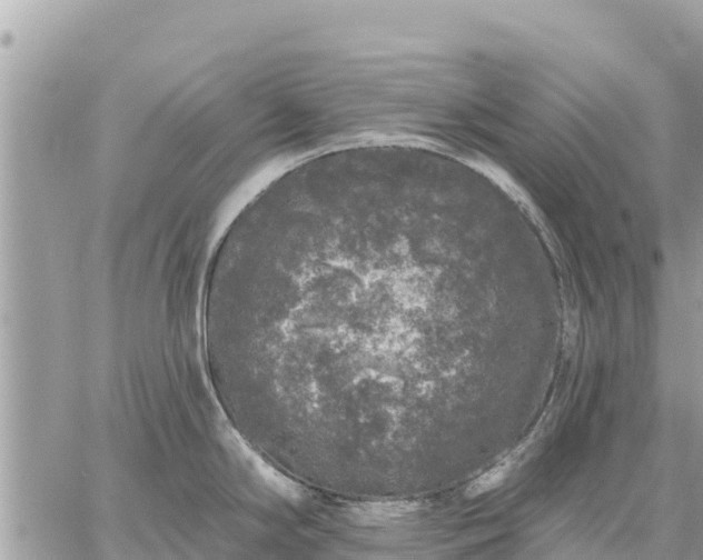 X0000059101294200510172110